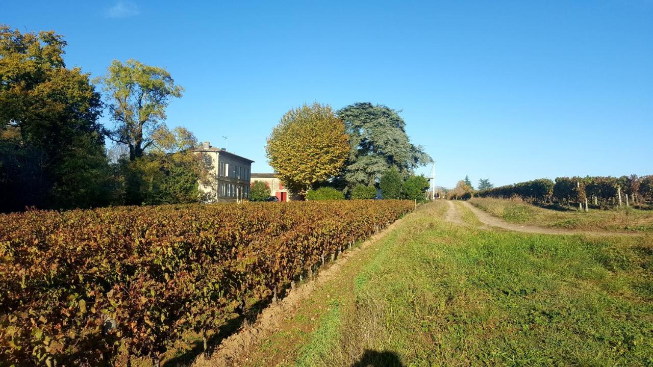 Chateau Cantelaube Saint-Emilion Exterior photo